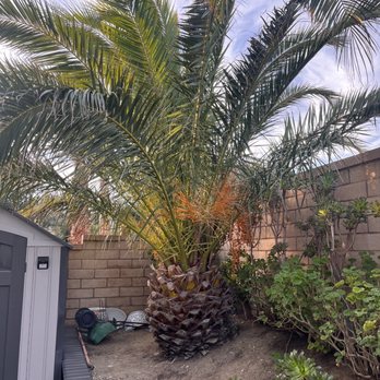 Arrieta Landscape - Landscaping Near Me