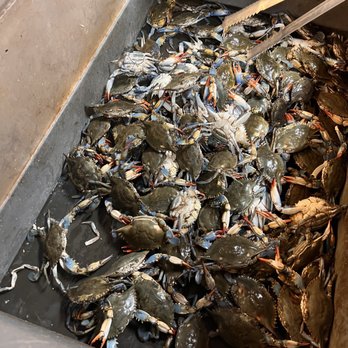 Ca Mau Supermarket - Live crab! - International Grocery Near Me - Cypress, Texas Ca Mau Supermarket - Live crab! - International Grocery Near Me - Cypress, Texas