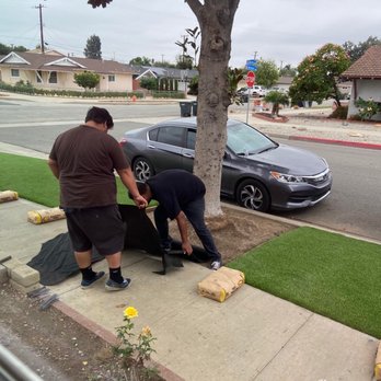 Alexander’s Synthetic Turf - Places at es where the tree defy'a being synthetic lawn Rocks are great! - General Contractors Near Me Alexander’s Synthetic Turf - Places at es where the tree defy'a being synthetic lawn Rocks are great! - General Contractors Near Me