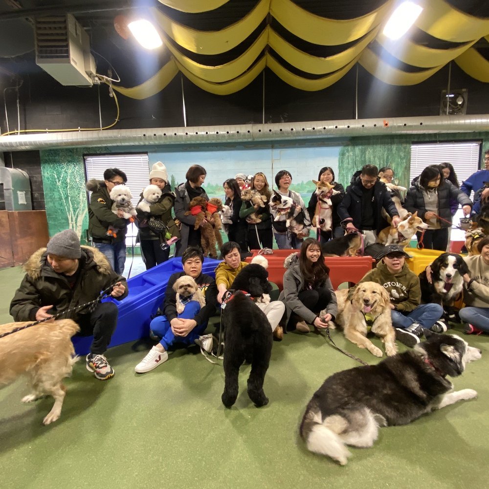 Dogeden - Pet Sitting Near Me - Markham, Ontario