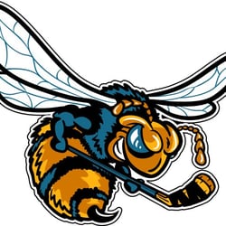 Rio Grande Valley Killer Bees - Killer Bees