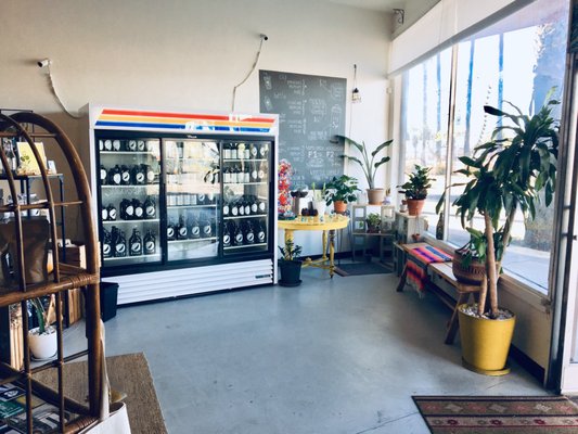 Fine Feathers Kombucha Company by null
