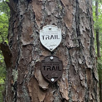Fall Creek Falls State Park - Parks Near Me - Spencer, Tennessee Fall Creek Falls State Park - Parks Near Me - Spencer, Tennessee