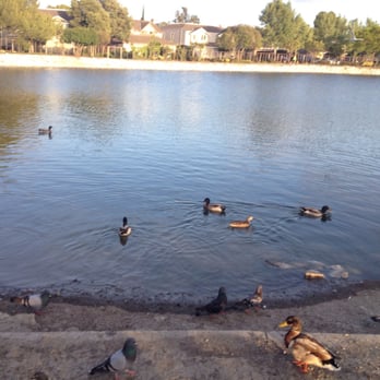 Hidden Lake Park - Local Flavor Near Me - Milpitas, California Hidden Lake Park - Local Flavor Near Me - Milpitas, California