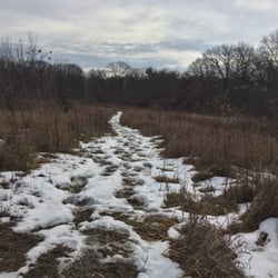 Mary Cummings Park - Another trail after a fresh snowfall.