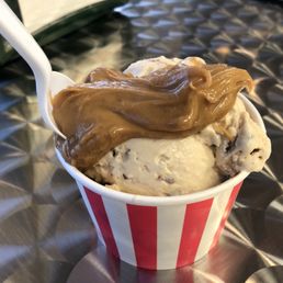 Chocolate Peanut Butter Ice Cream
