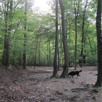 Glencarlyn Dog Park - Dog Parks Near Me - Arlington, Virginia Glencarlyn Dog Park - Dog Parks Near Me - Arlington, Virginia