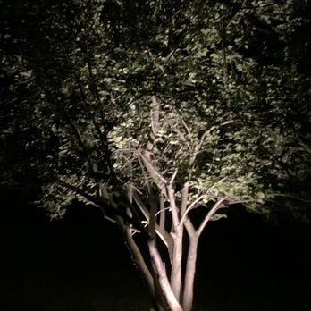 Schomber Electric - Up lighting trees. Gives a nice effect you can enjoy year round - Electricians Near Me - New Milford, Connecticut Schomber Electric - Up lighting trees. Gives a nice effect you can enjoy year round - Electricians Near Me - New Milford, Connecticut
