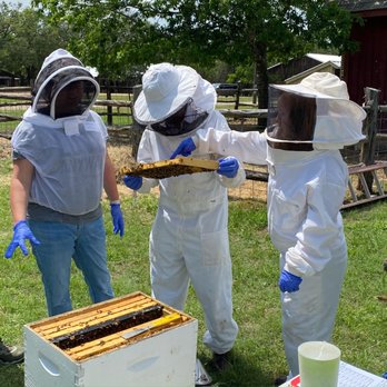 Oakley Family Apiaries - Beekeeping Classes - Honey Near Me - Elm Mott, Texas Oakley Family Apiaries - Beekeeping Classes - Honey Near Me - Elm Mott, Texas