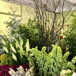 Beautiful selection of flowers.