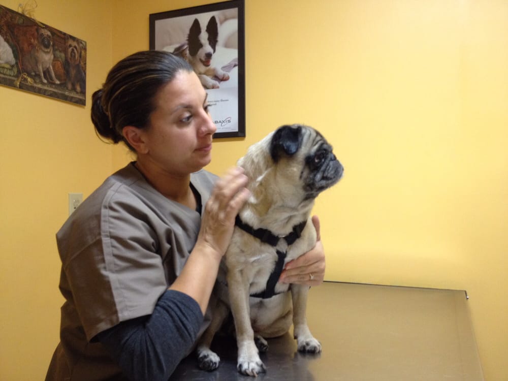 Queen City Animal Hospital Image