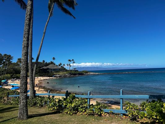 Kapalua Bay Beach by null