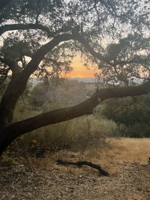 Westwood Hills Park by null