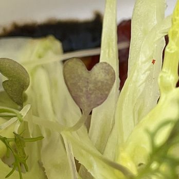 El Capitan Hotel - 98 Photos 39 Reviews - Hotels - 609 W Main St Merced Ca - Phone Number