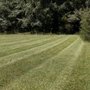 Photo of Boots & Roots Lawn Care