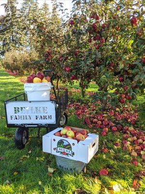 Beilke Family Farm by null