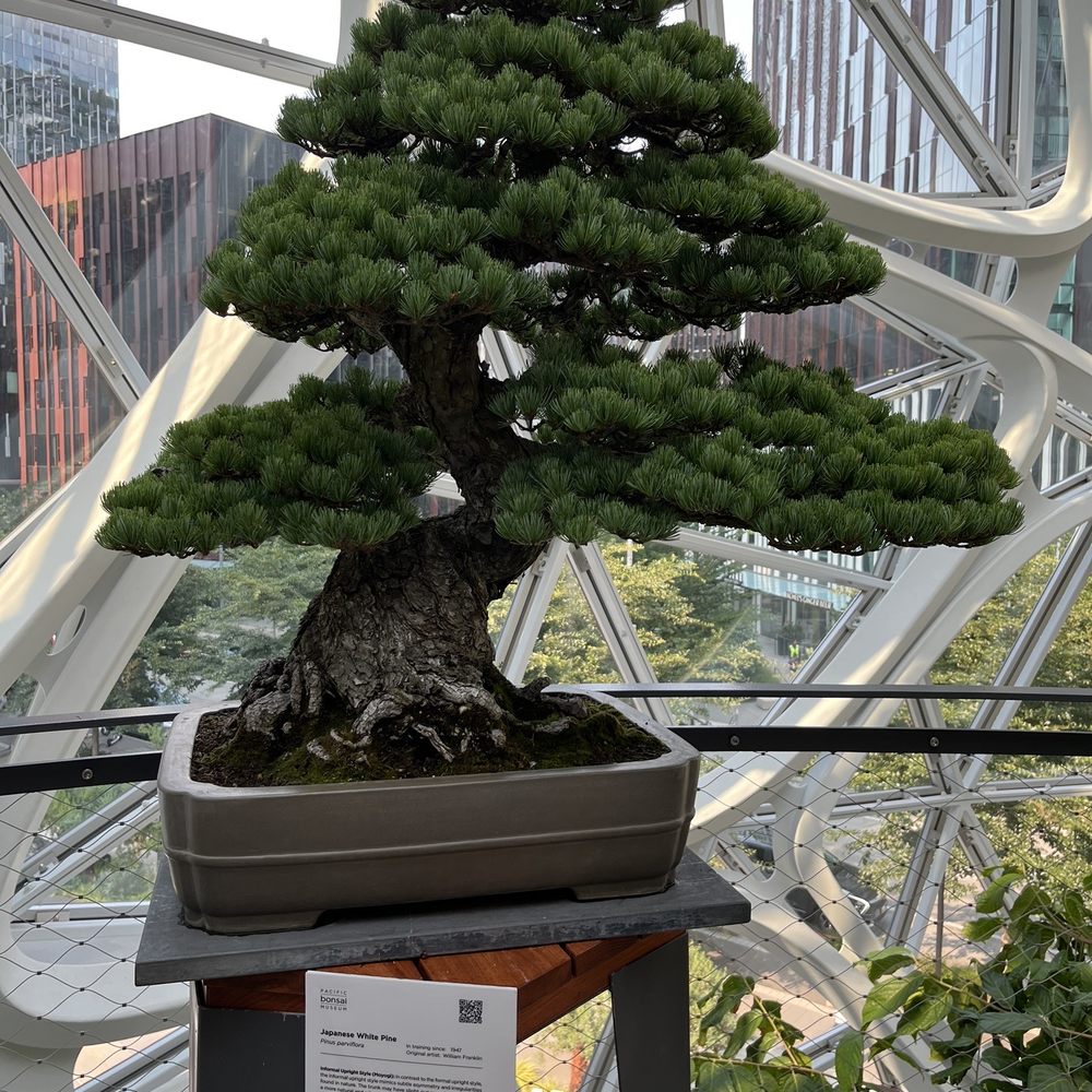 Amazon Spheres - Botanical Gardens Near Me - Seattle, Washington Amazon Spheres - Botanical Gardens Near Me - Seattle, Washington