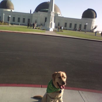 Griffith Observatory - Observatories Near Me - Los Angeles, California Griffith Observatory - Observatories Near Me - Los Angeles, California
