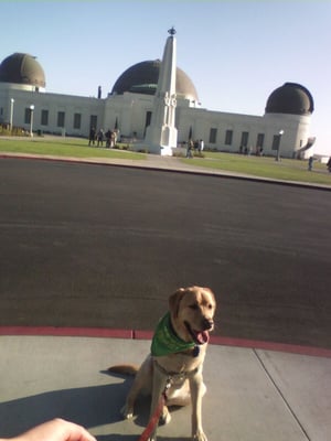 Griffith Observatory by null