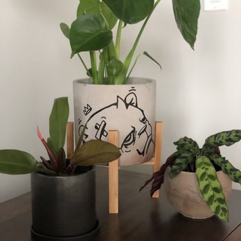 Sprout Home - Nurseries & Gardening Near Me - Chicago, Illinois