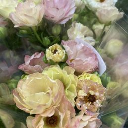 Ranunculus Ranunculus