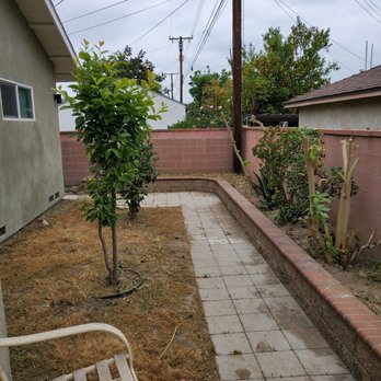 Gustavo's Lawn Service - After - Lawn Services Near Me Gustavo's Lawn Service - After - Lawn Services Near Me