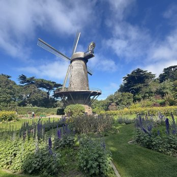 Golden Gate Park - Dutch Windmill - Parks Near Me - San Francisco, California Golden Gate Park - Dutch Windmill - Parks Near Me - San Francisco, California
