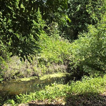 Seminole Campground - Stream right behind us - Campgrounds Near Me - N Ft Myers, Florida Seminole Campground - Stream right behind us - Campgrounds Near Me - N Ft Myers, Florida