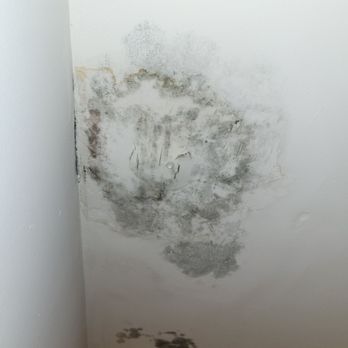 Real Inn - Mold on the ceiling - Hotels Near Me - Cancún, ROO Real Inn - Mold on the ceiling - Hotels Near Me - Cancún, ROO