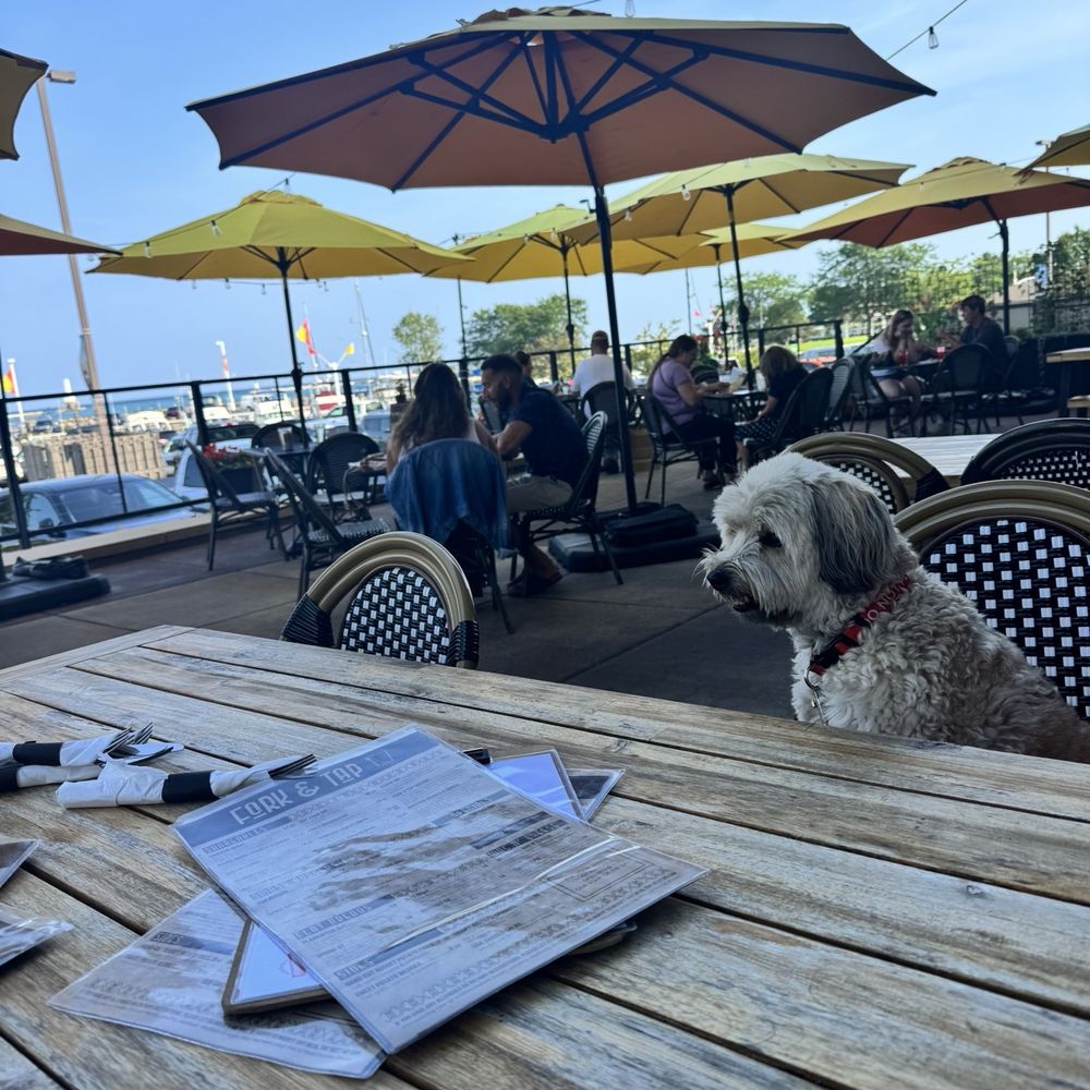 Fork & Tap - Outside with the pup! - Sandwiches Near Me - Port Washington, Wisconsin