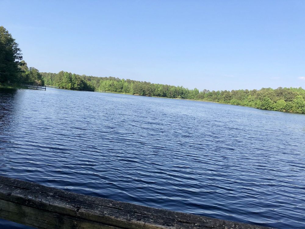 CABIN LAKE COUNTY PARK Updated August 2024 220 Cabin Lake Rd, Pink