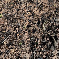 Topsoil Pros