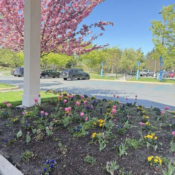 Hilton Garden Inn Melville - Hotels Near Me - Plainview, New York Hilton Garden Inn Melville - Hotels Near Me - Plainview, New York