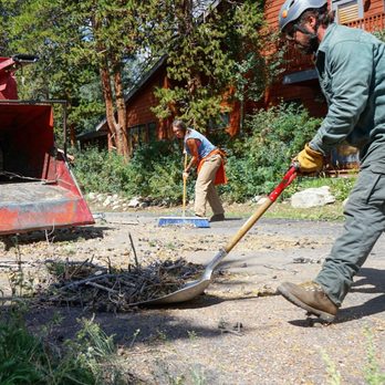 TSH Tree Service - Tree Services Near Me TSH Tree Service - Tree Services Near Me