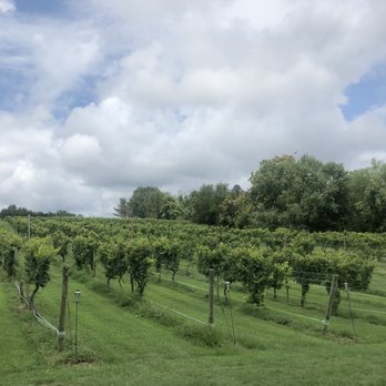 Lake Anna Winery - Vineyard - Wine Tours Near Me - Spotsylvania, Virginia Lake Anna Winery - Vineyard - Wine Tours Near Me - Spotsylvania, Virginia