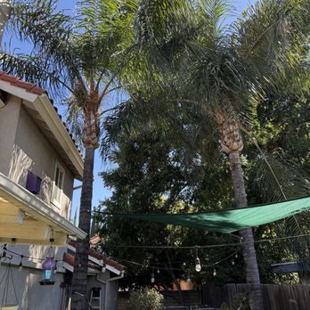 Off Czn Tree Experts - Tree Services Near Me