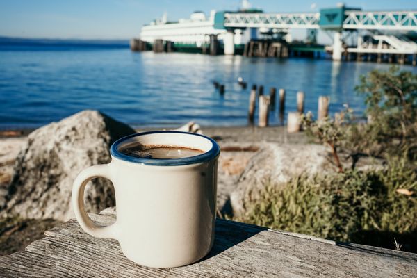 Shore Pine Coffee & Gelato by null