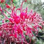 Photo of Botanische Tuin Zuidas