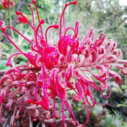 Botanische Tuin Zuidas - Outdoors in the garden, May 2019