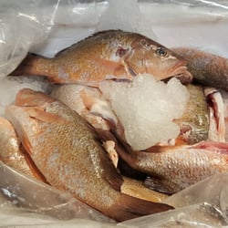 Mara's Fish House
