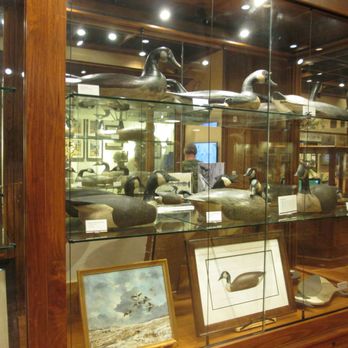 Bass Pro Shop - Guns & Ammo Near Me - Memphis, Tennessee