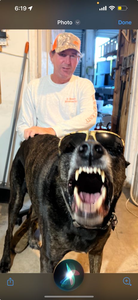 Slide of D Martin Roofing