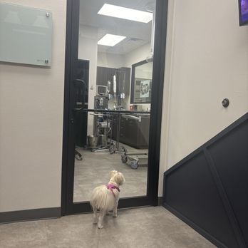 Grounds For Hounds Veterinary Clinic - Glass doors everywhere. Very clean. - Veterinarians Near Me - Fort Worth, Texas Grounds For Hounds Veterinary Clinic - Glass doors everywhere. Very clean. - Veterinarians Near Me - Fort Worth, Texas