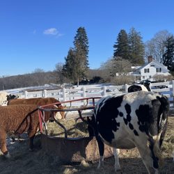 New Pond Farm Education Center - Outside