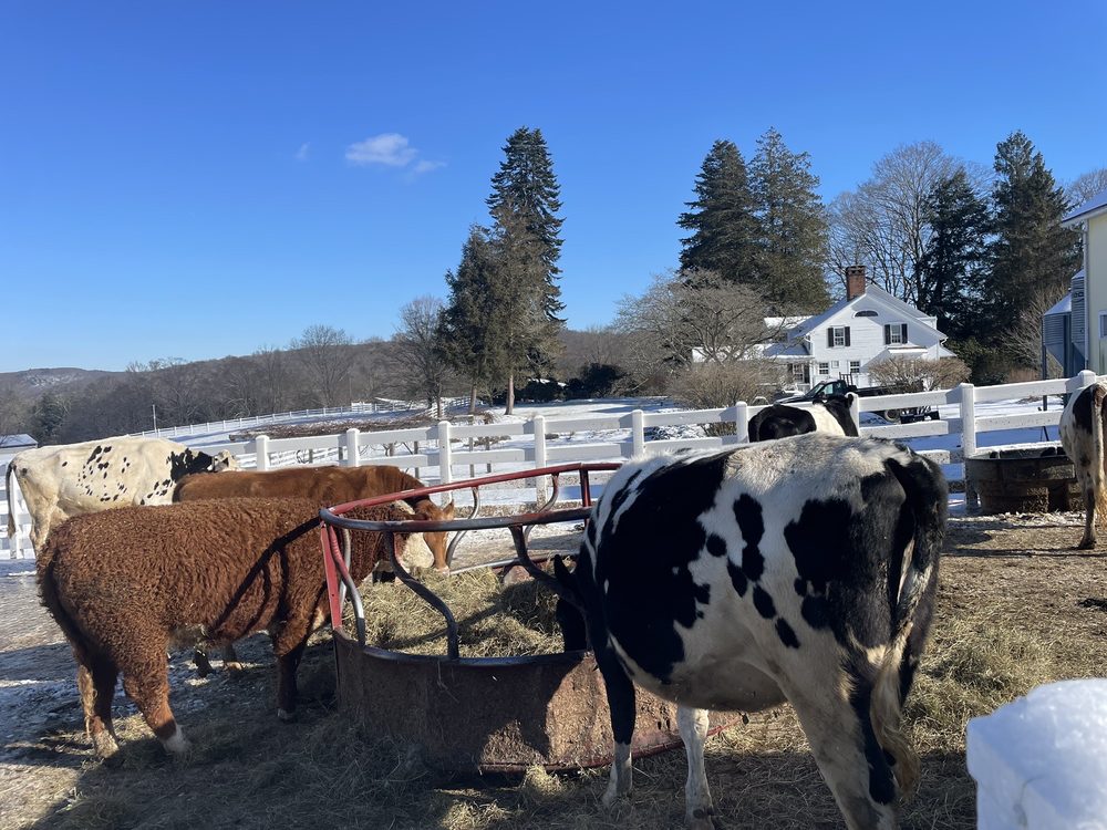 NEW POND FARM EDUCATION CENTER Updated September 2024 34 Photos
