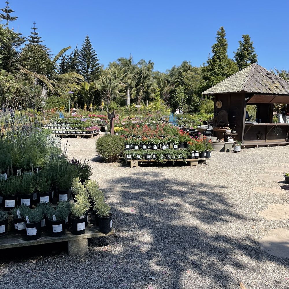 Seaside Gardens - Nurseries & Gardening Near Me - Carpinteria, California