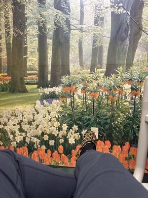 Greenbrier Dental Center