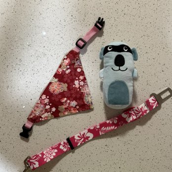 Hawaii Pet Expo - Pet items we scored - Festivals Near Me - Honolulu, Hawaii Hawaii Pet Expo - Pet items we scored - Festivals Near Me - Honolulu, Hawaii
