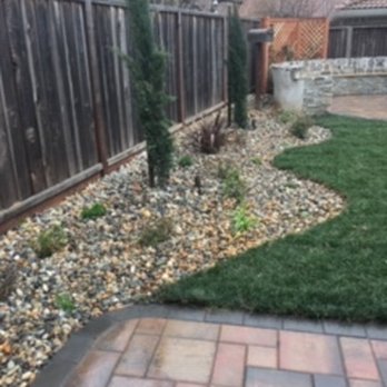 Izazaga Landscape - River rocks, beautiful shape, trees and plants - Landscaping Near Me