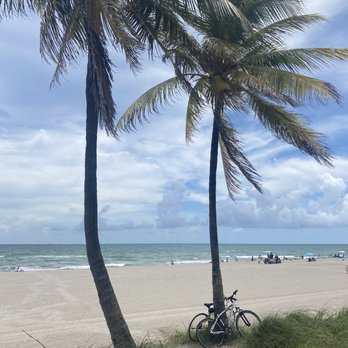 The Taco Joint - Tacos Near Me - Hollywood, Florida The Taco Joint - Tacos Near Me - Hollywood, Florida